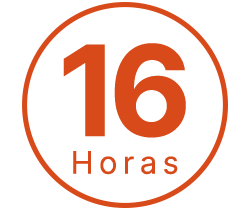 16 horas