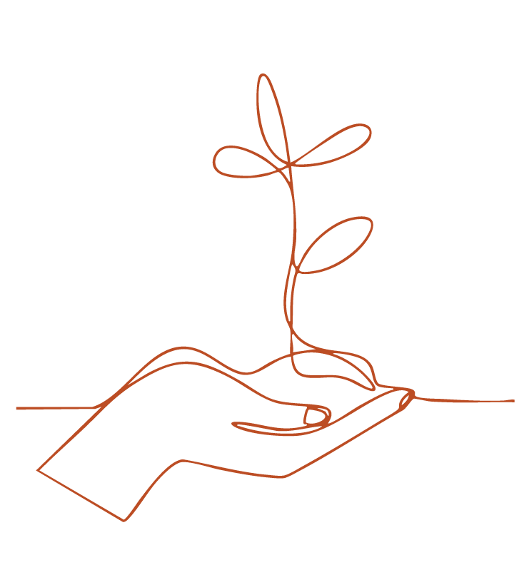 icono 4